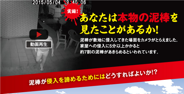 実録!あなたは本物の泥棒を見たことがあるか!泥棒が敷地に侵入してきた場面をカメラが捉えました。